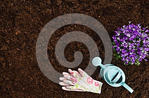 Gardening tools on garden soil texture background top view