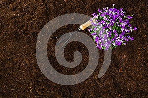 Gardening tools on garden soil texture background top view