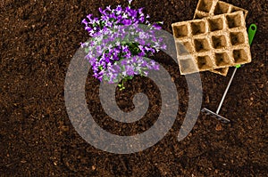 Gardening tools on garden soil texture background top view