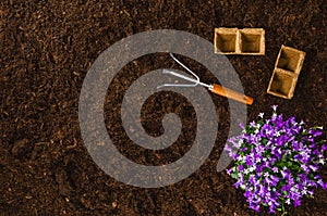 Gardening tools on garden soil texture background top view