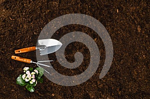 Gardening tools on garden soil texture background top view