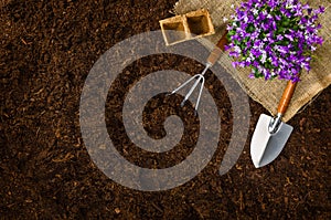 Gardening tools on garden soil texture background top view