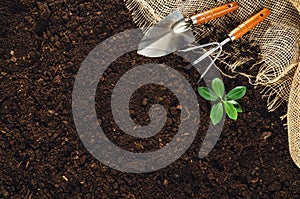 Gardening tools on garden soil texture background top view