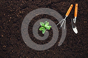 Gardening tools on garden soil texture background top view