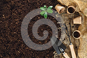 Gardening tools on garden soil texture background top view