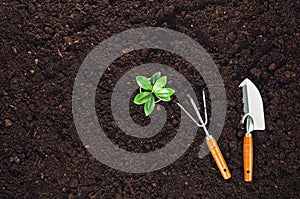 Gardening tools on garden soil texture background top view