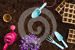 Gardening tools on garden soil texture background top view