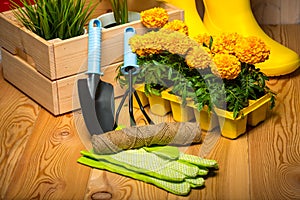 gardening tools for gardening, rubber boots and seedlings,spring concept - seasonal garden