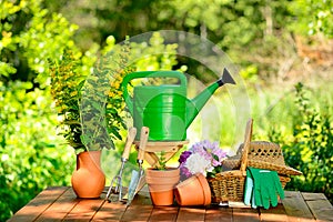 Gardening tools on green background and grass