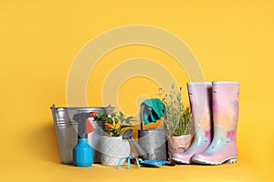 Gardening tools and houseplants on yellow background. Space for text