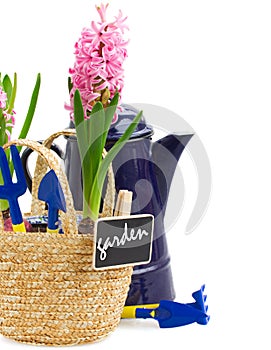 Gardening tools with hyacinth