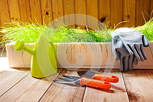 Gardening tools indoors