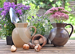 gardening tools in a jug on a table with flowers and bulbs in a garden