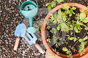 Gardening tools for kids to learn about planting and gardening