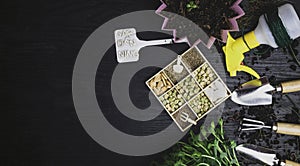 gardening tools, microgreens, seeds on wooden table