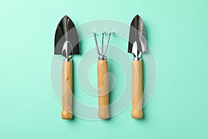 Gardening tools on mint background