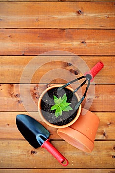 Gardening tools and objects on old wooden background