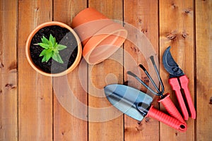 Gardening tools and objects on old wooden background