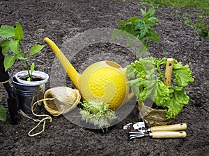 gardening tools and objects on soil background