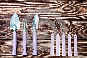 Gardening tools on old wooden background