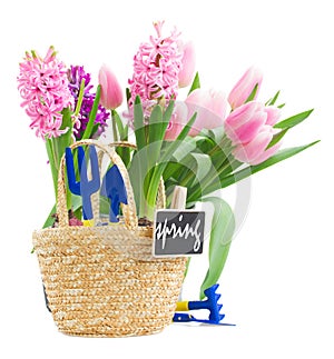 Gardening tools with pink hyacinth and tulips