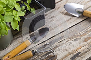 Gardening tools with plants