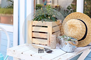 Gardening tools, plants and  hat on white wooden table outdoors