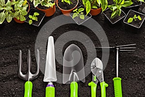 Gardening tools and plants photo