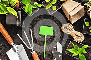 Gardening tools and plants