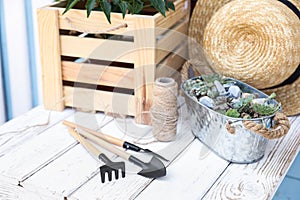 Gardening tools, plants and straw hat on wooden table, closeup