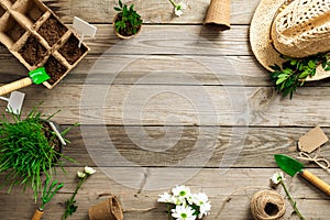 Gardening tools and plants on wooden table. Spring garden works concept. Flat lay, top view