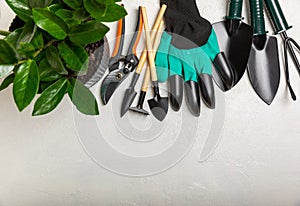 Gardening tools, pruner, gardening gloves, shovel and rake on background.