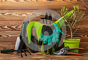 Gardening tools, pruner, gardening gloves, shovel and rake on background.