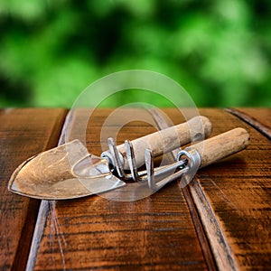 Gardening tools, rake and scoop on wooden table