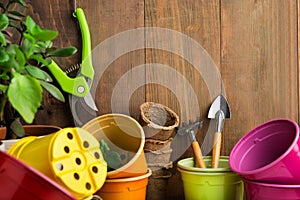 Gardening tools for seeding and home garden on brown wooden wall