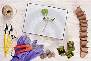 Gardening tools and seedlings.