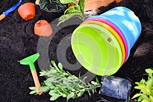 Gardening tools on soil background ready to planting flowers and small plant in the spring garden works concept gardening