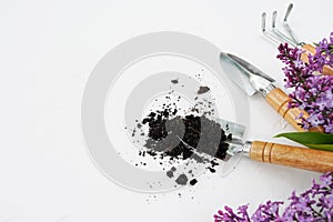 Gardening tools, soil and flowers lilac on white background, copy space
