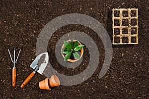 Gardening tools on soil texture background top view.