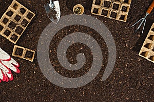 Gardening tools on soil texture background top view.