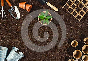 Gardening tools on soil texture background top view.