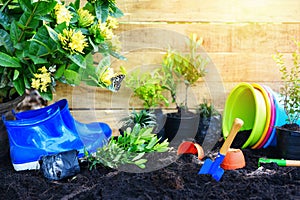 Gardening tools with soil and wooden background ready to planting flowers and small plant in the spring garden works concept