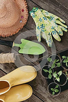 Gardening tools and sprout on the wooden floor Top view