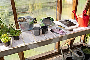 Gardening tools on a table prepared for planting new seedlings in a greenhouse. Hobbies and relaxation concept