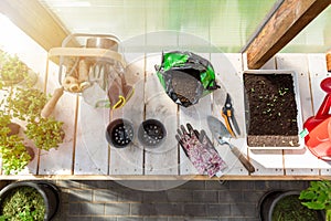 Gardening tools on a table prepared for planting new seedlings in a greenhouse. Hobbies and relaxation concept