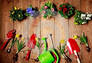 Gardening tools on vintage wooden table - spring. Spring flowers and garden tools on wooden table