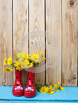 Gardening tools, watering, seeds, plants and soil. Potted flowers on wooden background