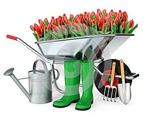 Gardening tools on white background