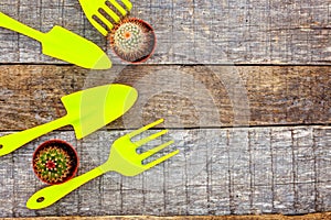 Gardening Tools on wooden background