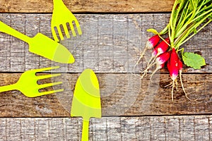 Gardening Tools on wooden background